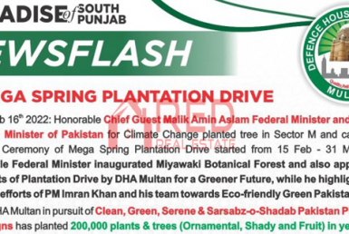 Mega Spring Plantation Drive Inaugurated by DHA Multan