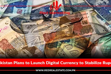 Pakistan plans to launch digital currency to stabilize rupee