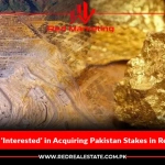 Saudi Arabia ‘Interested’ in Acquiring Pakistan Stakes in Reko Diq Mine