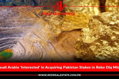 Saudi Arabia 'Interested' in Acquiring Pakistan Stakes in Reko Diq Mine