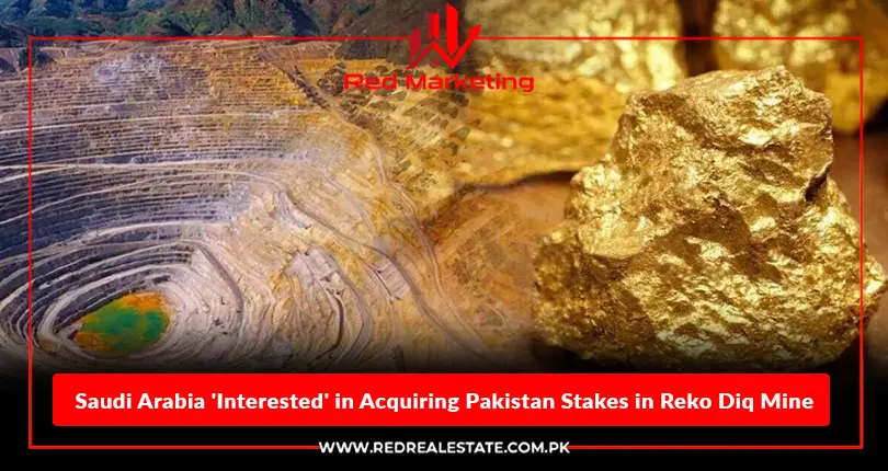 Saudi Arabia 'Interested' in Acquiring Pakistan Stakes in Reko Diq Mine