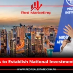 UAE Plans to Establish a National Investment Strategy